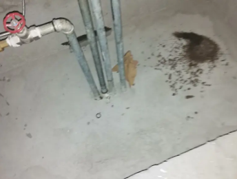 克拉玛依卫生间测漏水价格明细