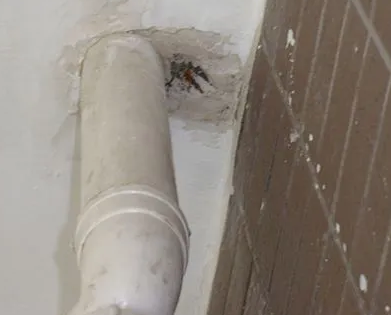 克拉玛依漏水检测哪家好